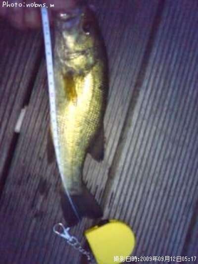 �֥�å��Х�