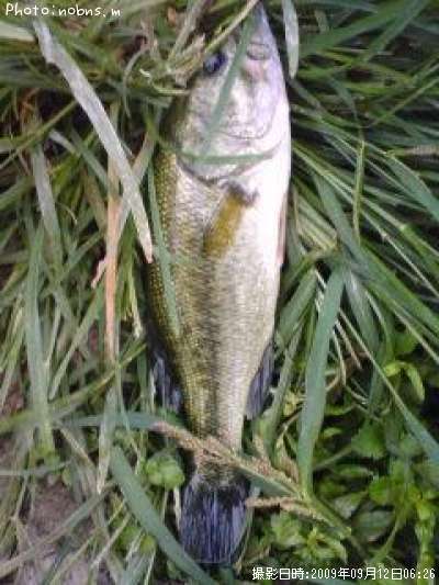 �֥�å��Х�