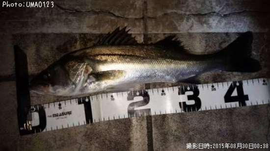 �����Х�