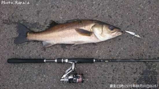 �����Х�