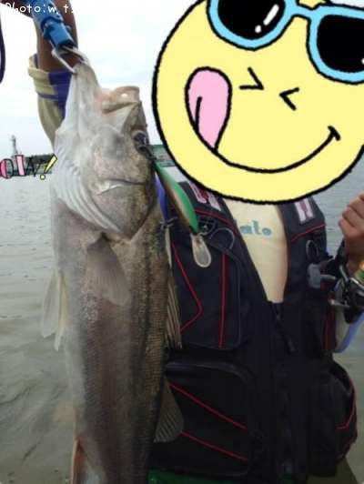 �����Х�