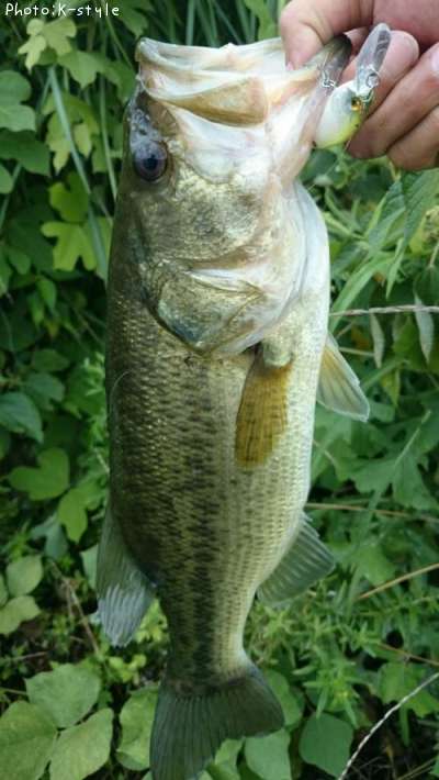 �֥�å��Х���