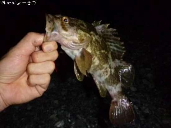 �����Υ���Х�