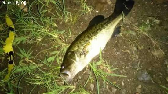 �֥�å��Х�