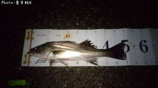 �����Х�