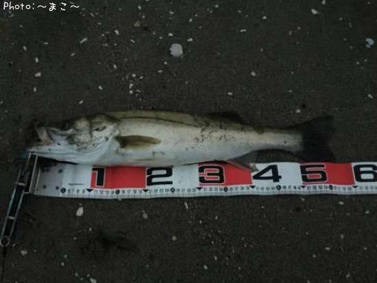 �����ե����Х�