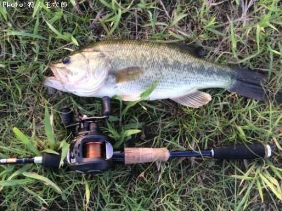 �֥�å��Х�