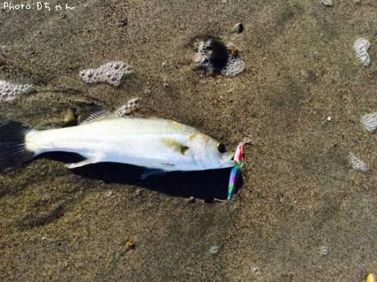 �����Х�