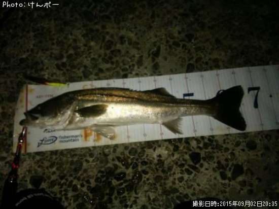 �����Х�