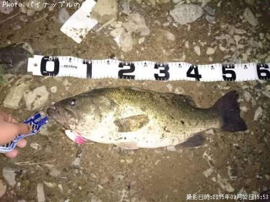 �֥�å��Х�