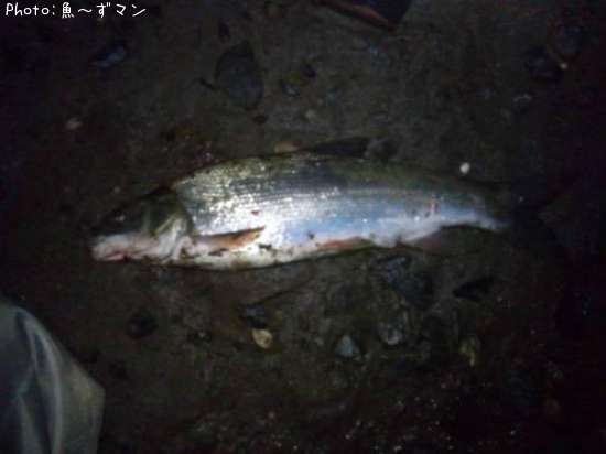 �ޥ륿������