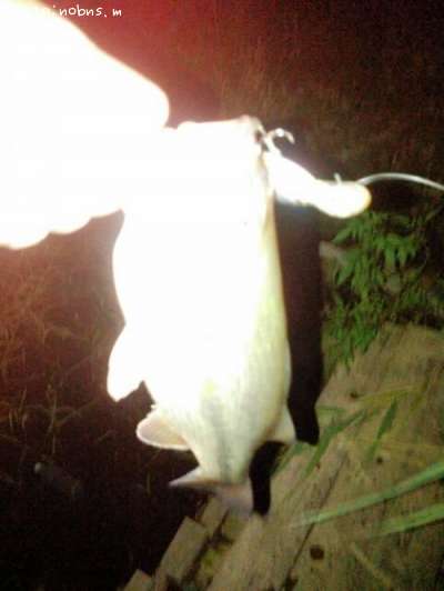 �֥�å��Х�