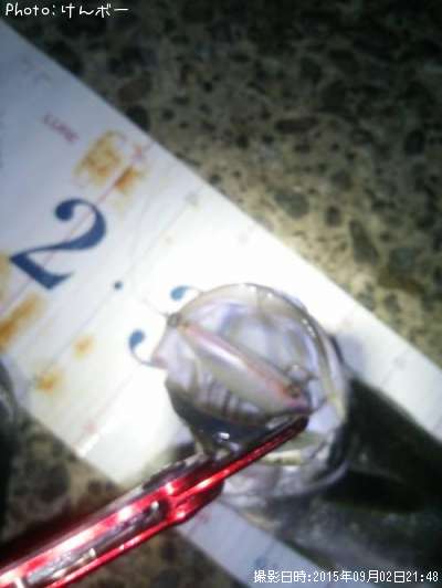 �����Х�