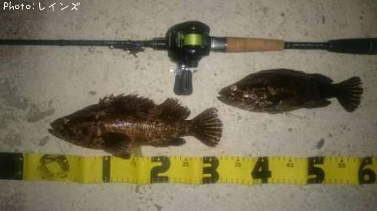 �����Υ���Х�