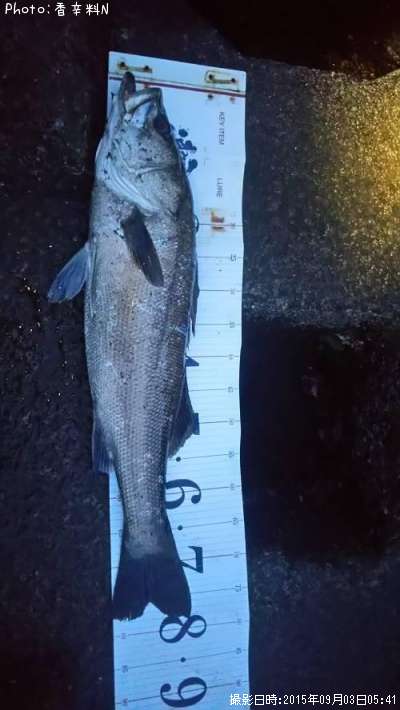 �����Х�