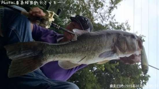 �֥�å��Х�