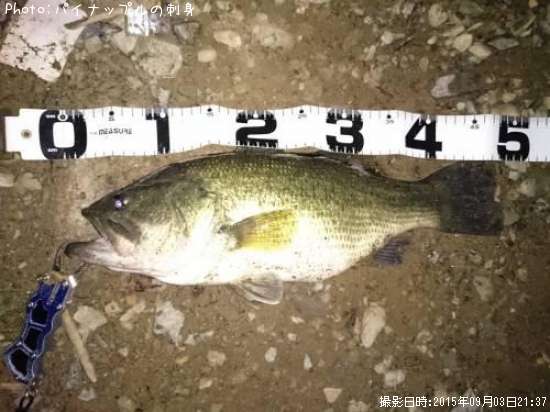 �֥�å��Х�