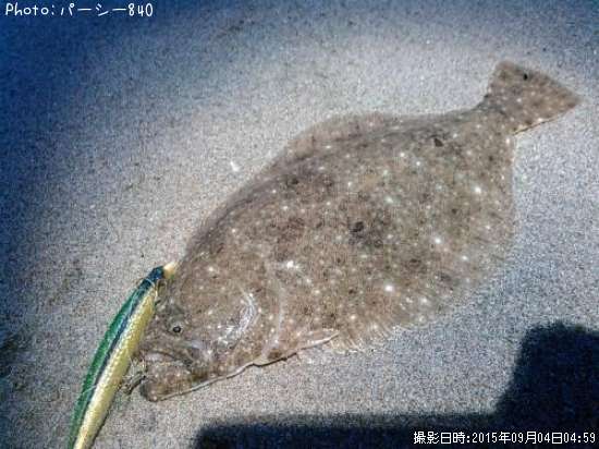 �ҥ��ʥ�����