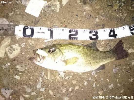 �֥�å��Х�