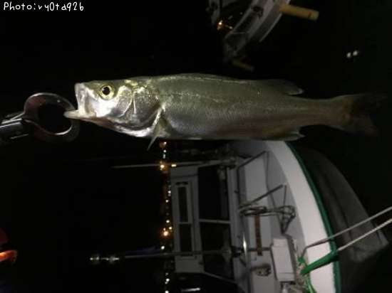 �����Х�