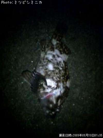 �����Υ���Х�