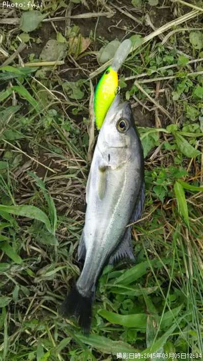 �����Х�