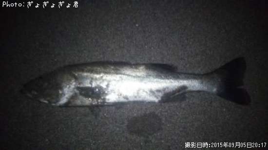 �����Х�