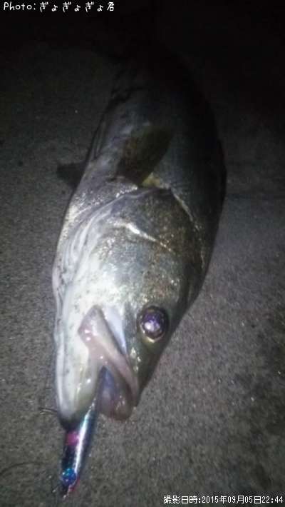 �����Х�