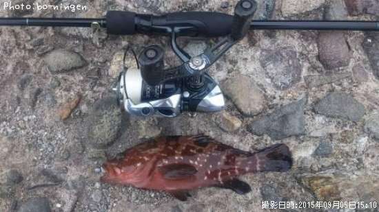 �����ϥ�