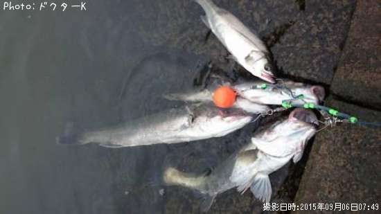 �����Х�