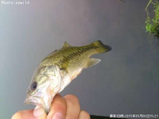 �֥�å��Х�