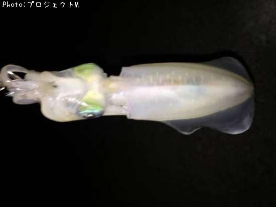 �����ꥤ��