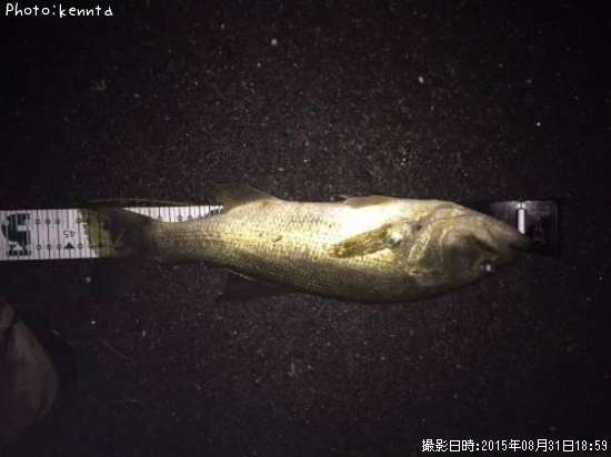 �֥�å��Х�