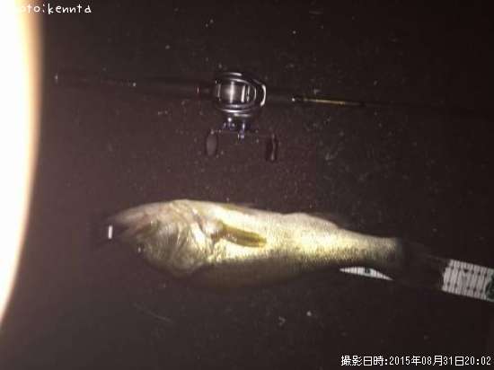 �֥�å��Х�