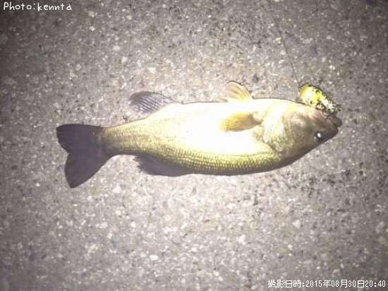 �֥�å��Х�