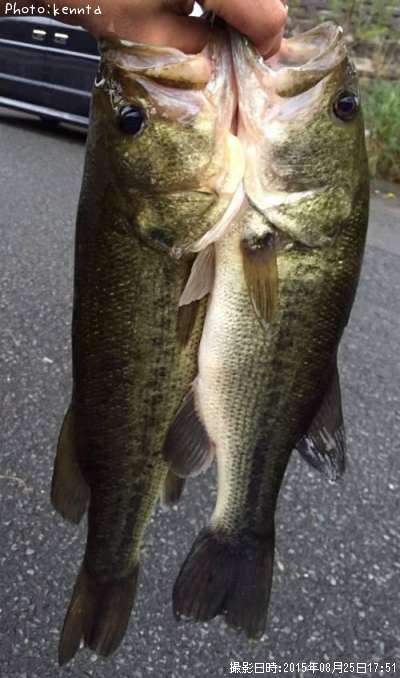 �֥�å��Х�