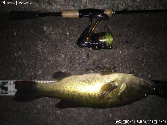 �֥�å��Х�