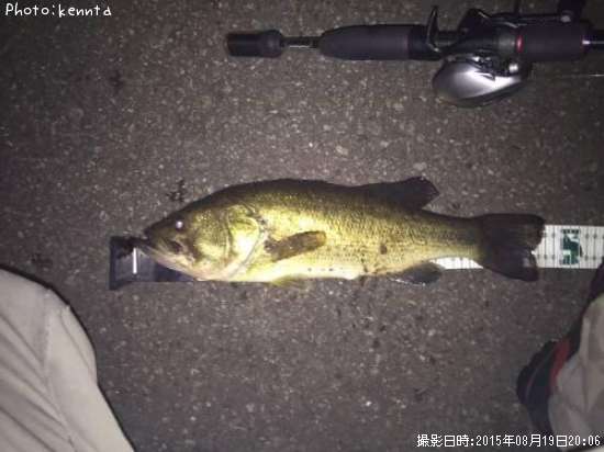 �֥�å��Х�