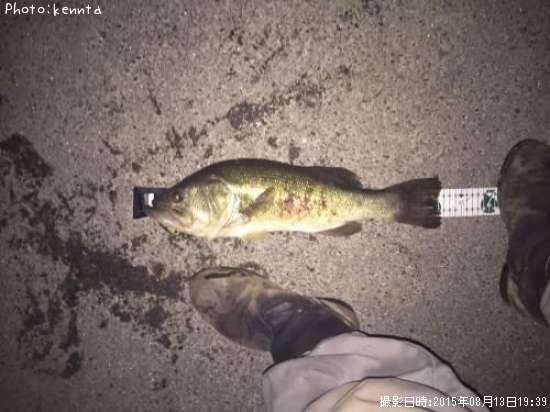 �֥�å��Х�