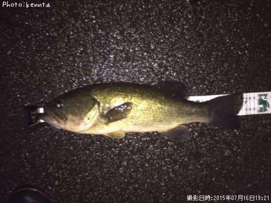 �֥�å��Х�