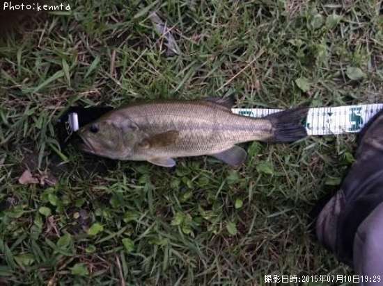 �֥�å��Х�