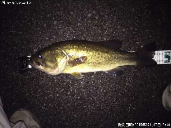 �֥�å��Х�