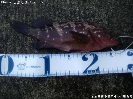 �����ϥ�