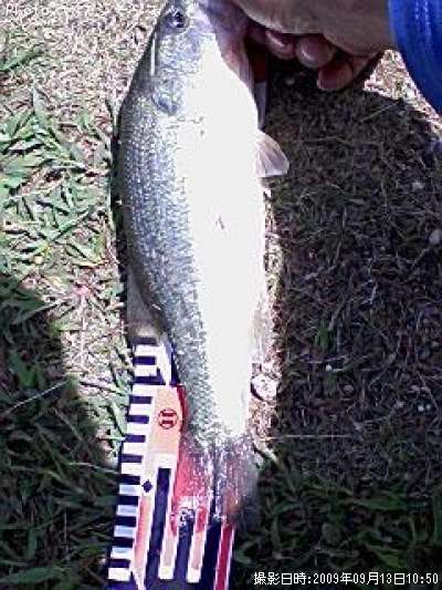 �֥�å��Х�