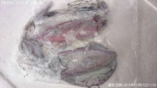 �����ꥤ��