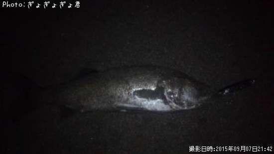 �����Х�