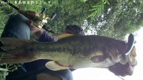 �֥�å��Х�