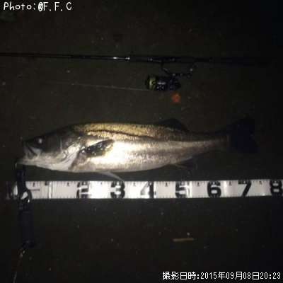 �����Х�