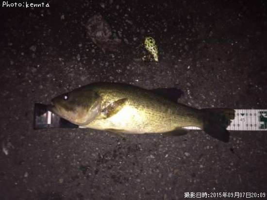 �֥�å��Х�