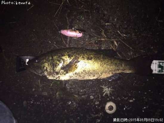 �֥�å��Х�